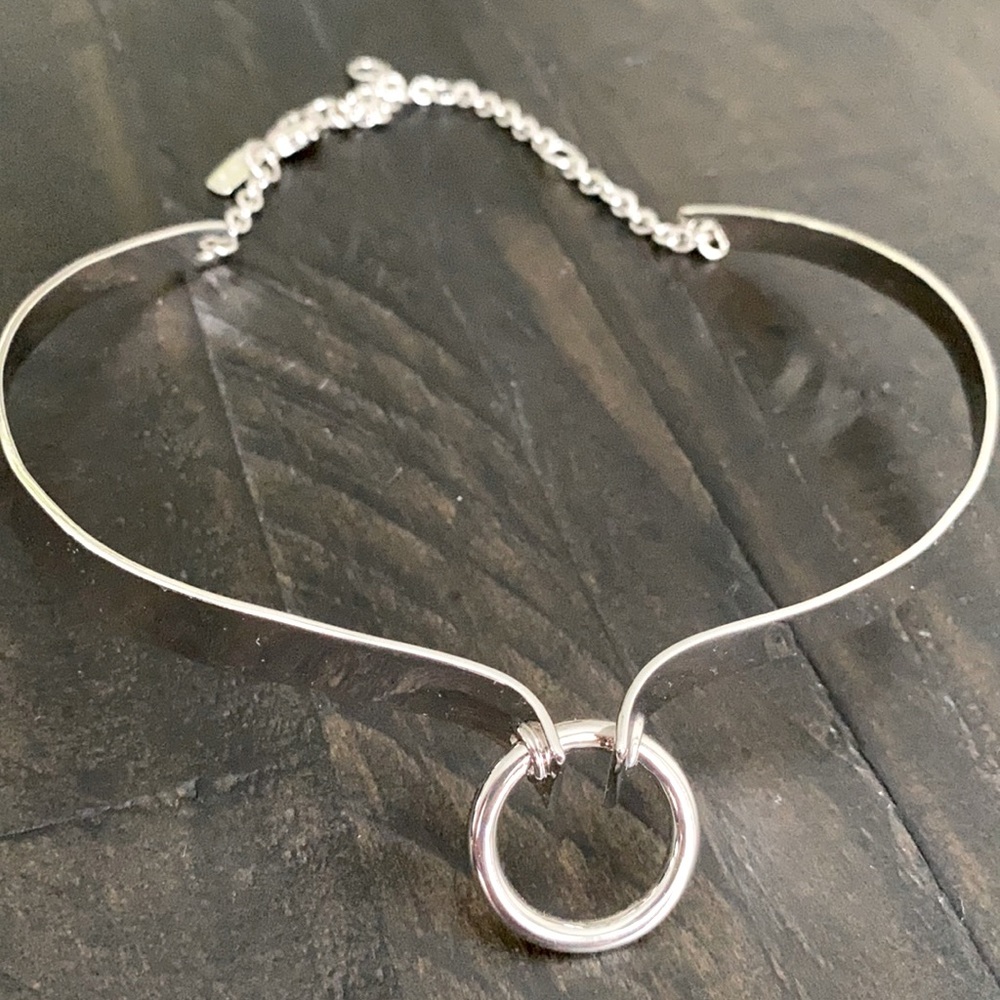 Silver Alexis Bittar necklace